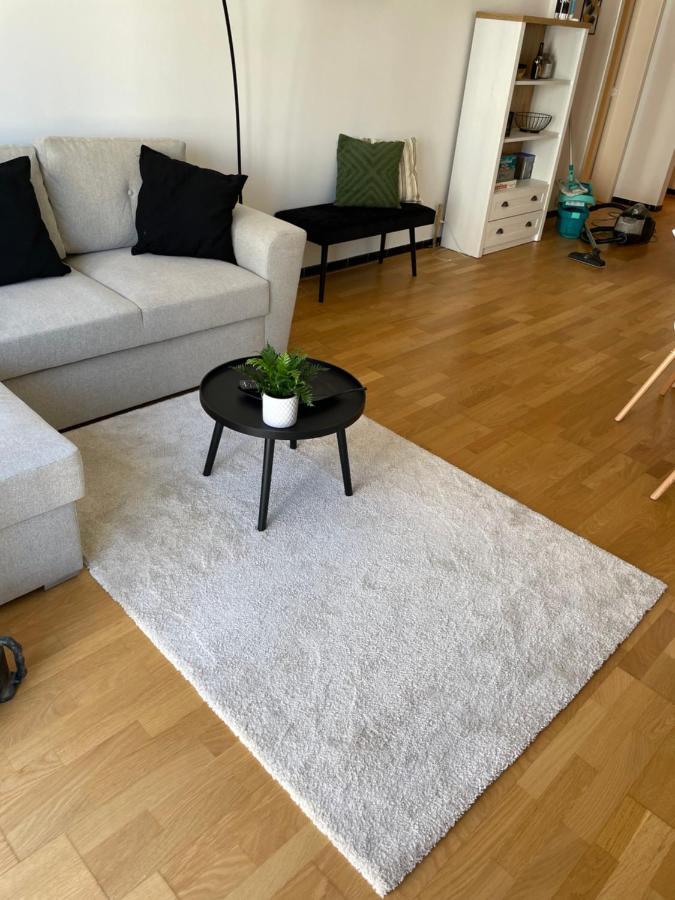 Place Leopold 1er A A 100m De La Appartement